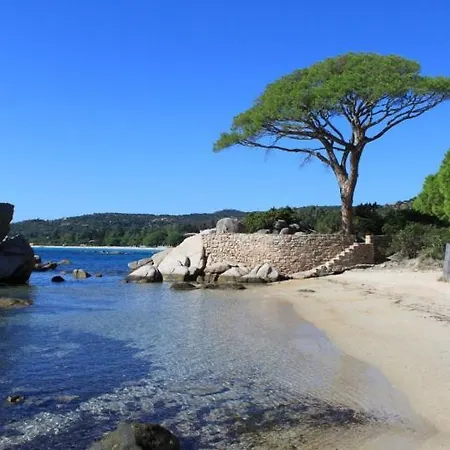فيلة Porto-vecchio Corse
